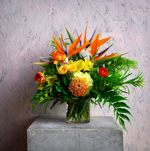 Golden Tropic Radiance